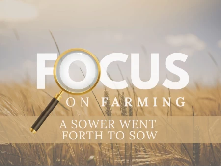 Lesson 2: Focus On Farming – A Sower Went Forth To Sow