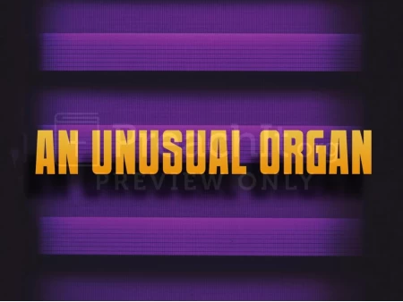 An Unusual Organ